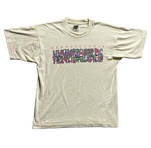 Vintage 90s Fruit of the Loom T Shirt Large Pennsylvania Hummingbirds Single